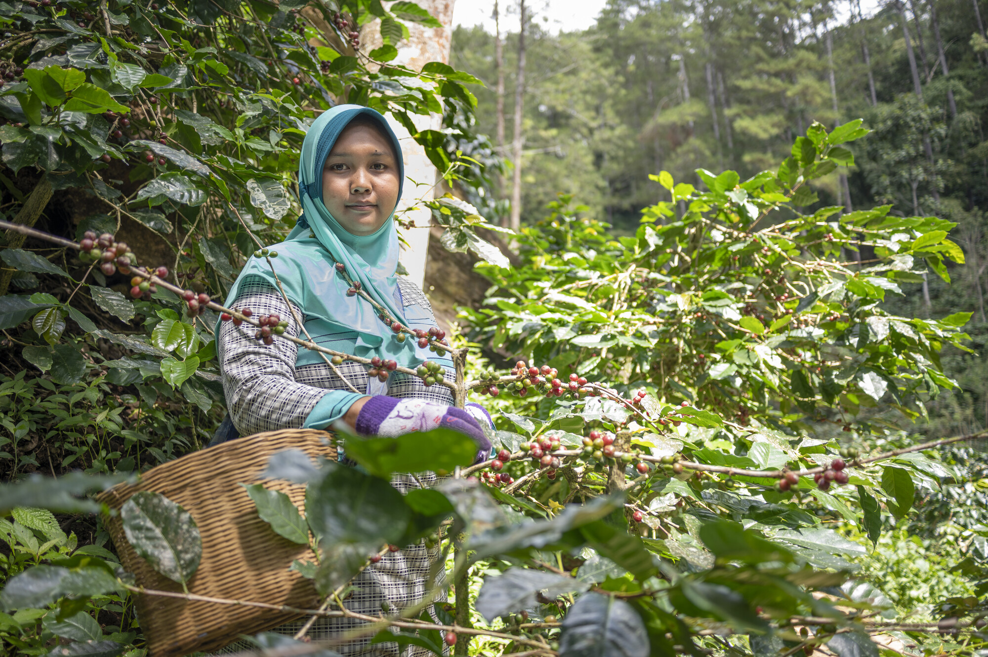 A portrait of Meri Kusumawati 